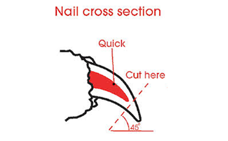News-Nail-Cross