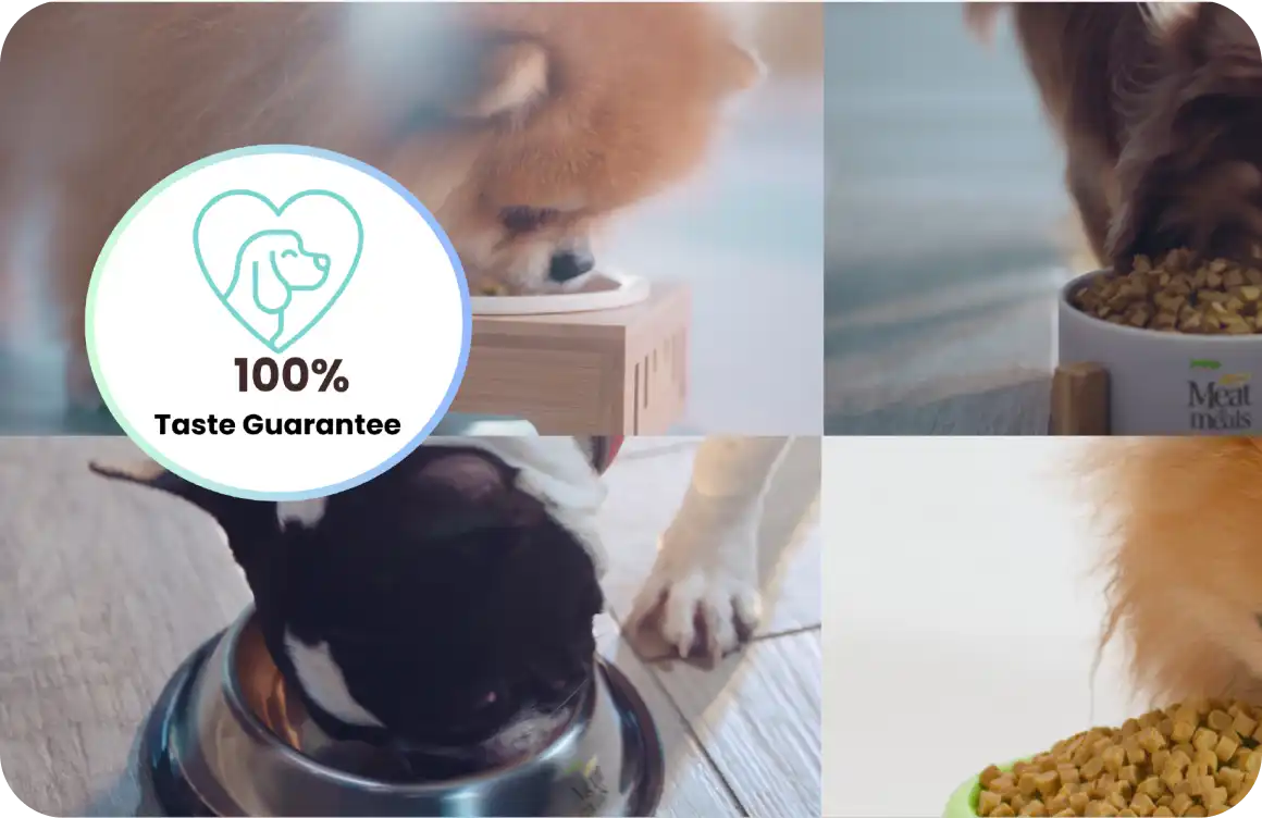 100% Taste Guarantee