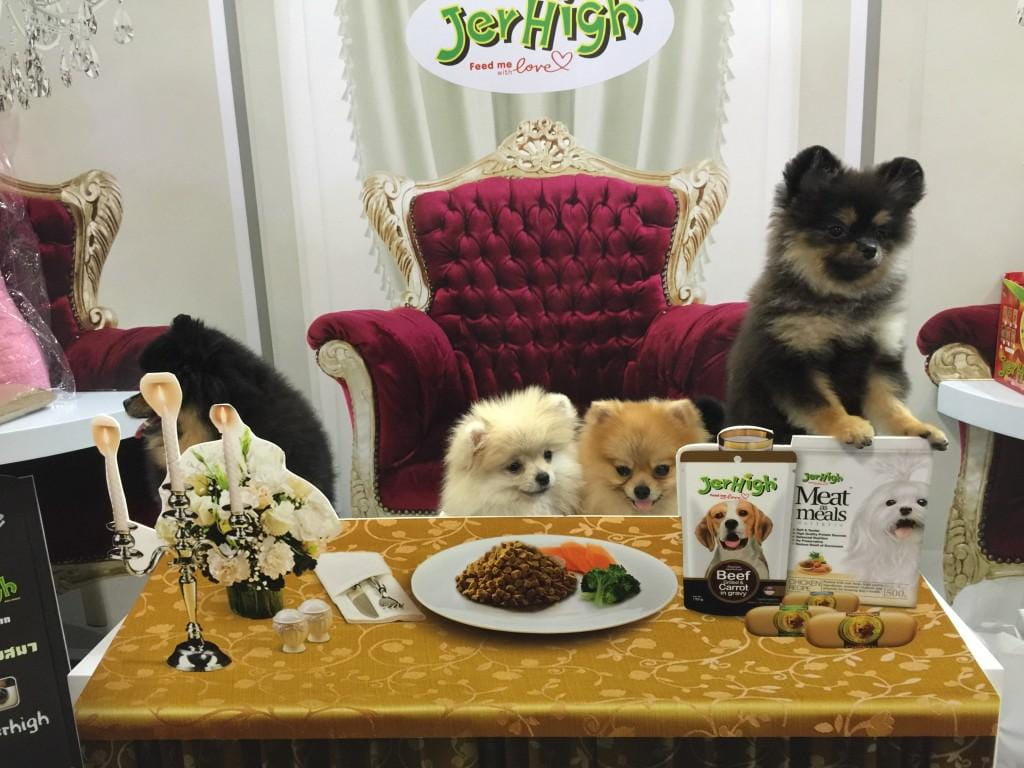Pet_Expo_2015_5