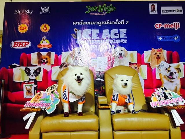 Jerhigh_Hak_Nong_No7_1