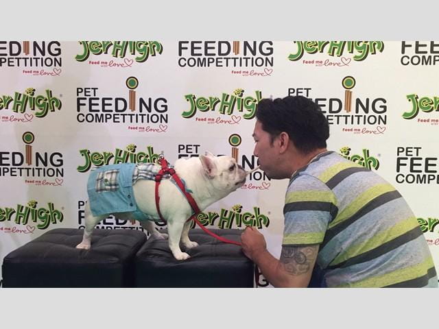 dog_s_ville_14