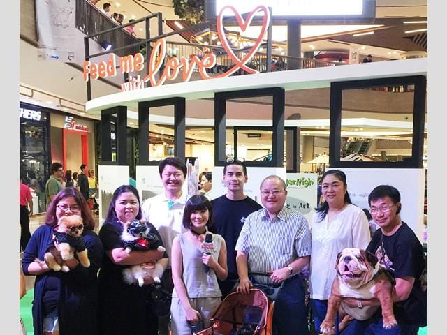 dog_s_ville_15
