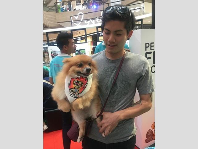 dog_s_ville_3