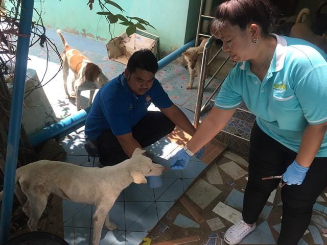 jerhigh_itthivej_animal_hospital_6