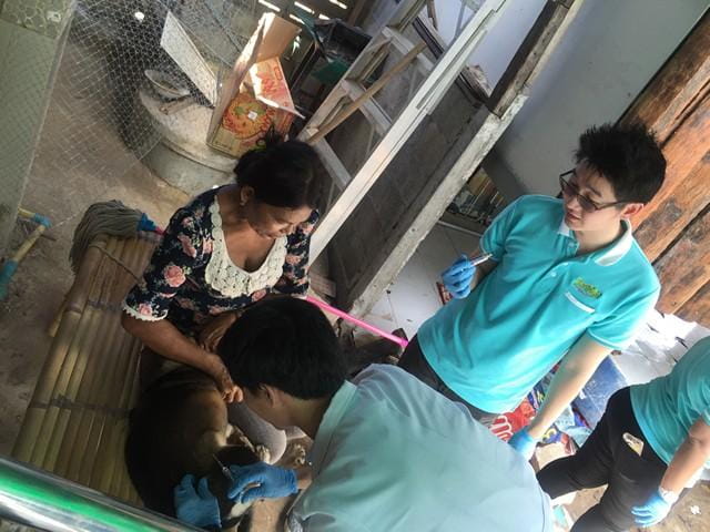 jerhigh_itthivej_animal_hospital_7