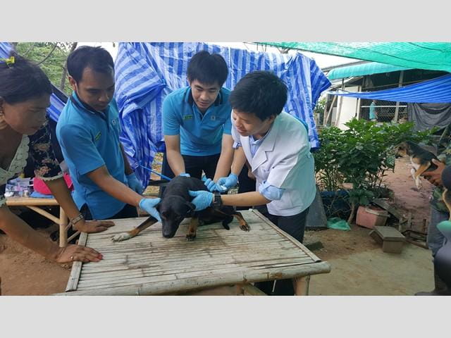 jerhigh_itthivej_animal_hospital_8
