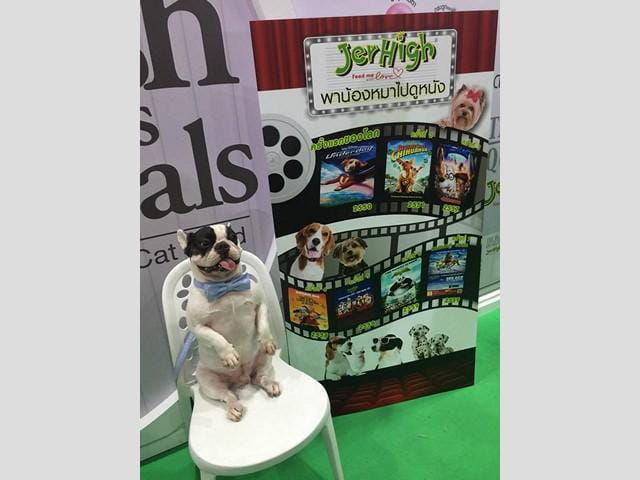 thailand_international_dog_show_2016_2