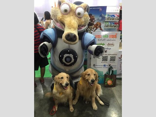 thailand_international_dog_show_2016_3