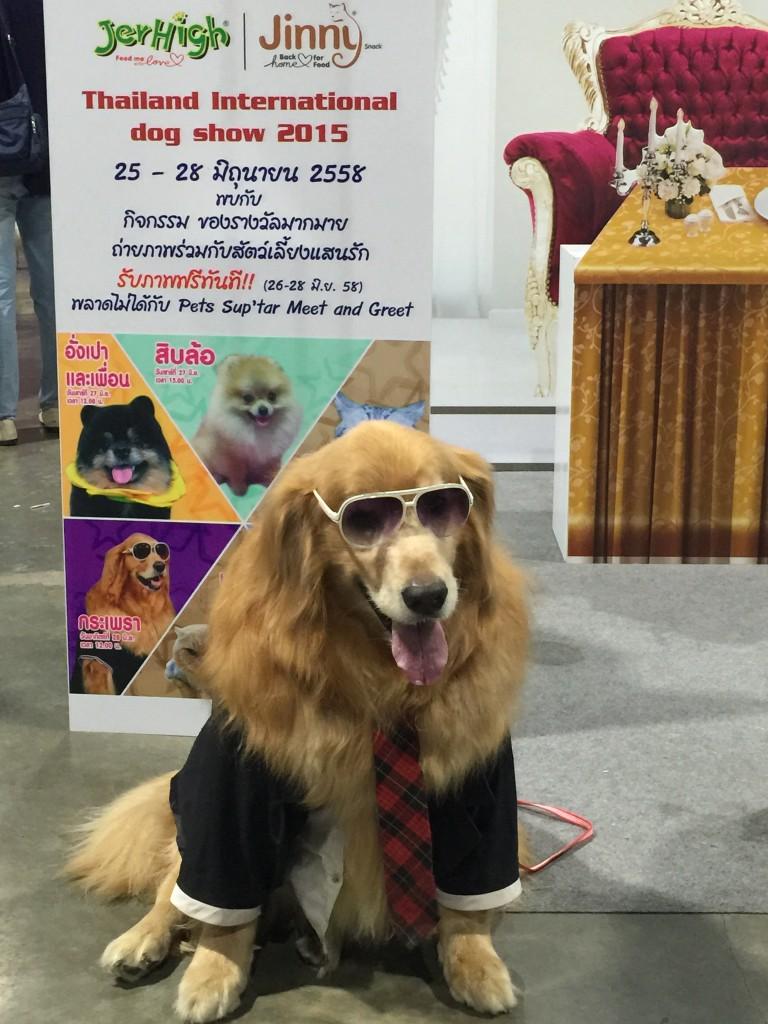 Thailand_International_Dog_Show_2015_6