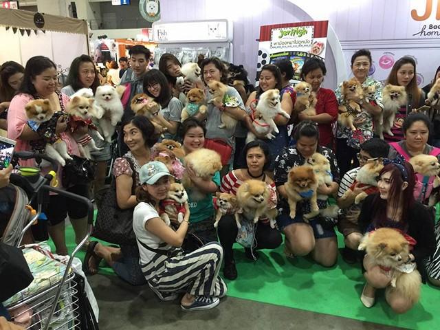 thailand_international_dog_show_2016_4