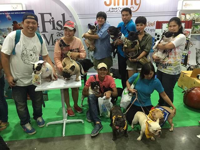 thailand_international_dog_show_2016_5