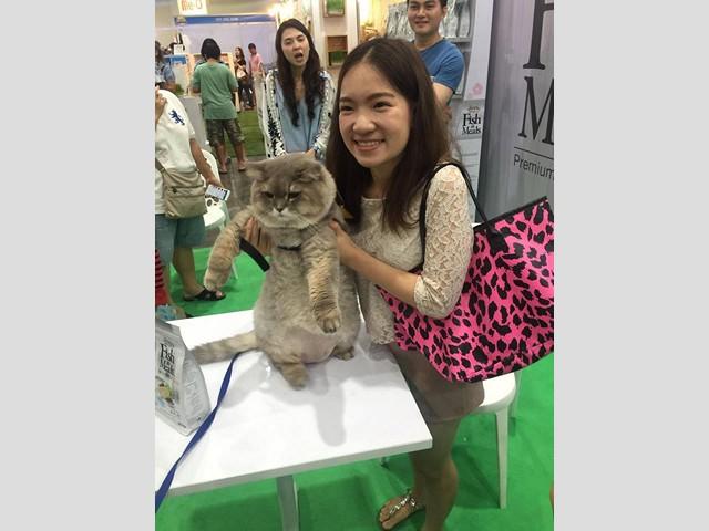 thailand_international_dog_show_2016_6